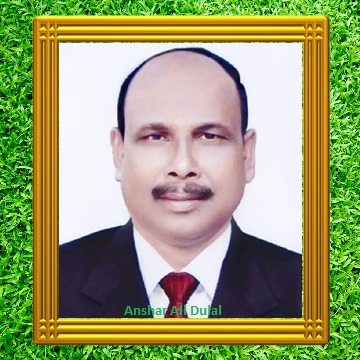---